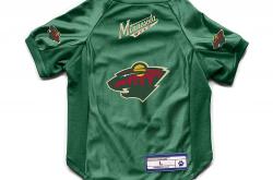 华体会APP下载-明尼苏达队球员在家训练情况