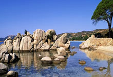 华体会官方-生死时刻的蜕变，班凯罗奇兵天降，魔术力克活塞锁定关键先生之名